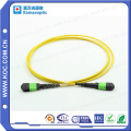 MTP / MPO Singlemode 24cores Fiber Optic Patchkabel